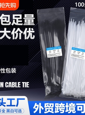 扎带100条自锁式尼龙扎带nylon cable ties跨境中性束线扎带批发