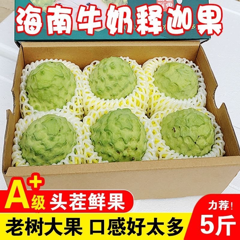 寻乡者大目牛奶释迦顺丰包邮