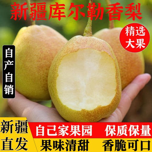 新疆直发特产库尔勒香梨细腻无渣
