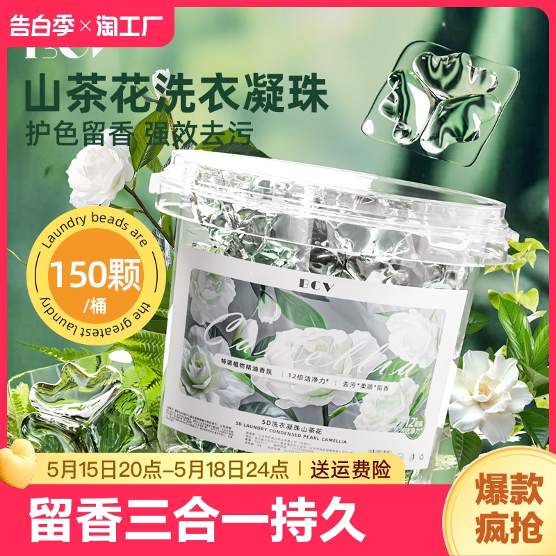 bcv山茶花洗衣凝珠抖音同款