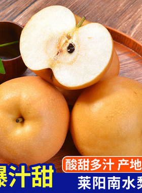 山东特产南水梨 莱阳黄梨脆甜多汁当季新鲜水果整箱