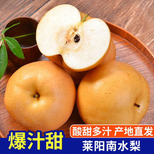 山东特产南水梨 莱阳黄梨脆甜多汁当季新鲜水果整箱