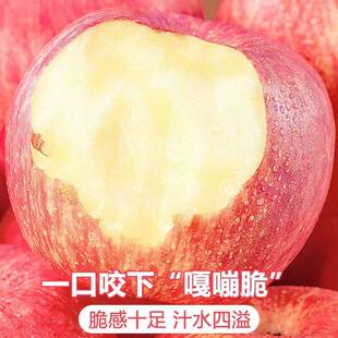 M正宗山东烟台红富士苹果新鲜水果脆甜冰糖心整箱现摘送达大果