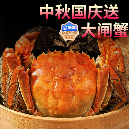 大闸蟹鲜活特大螃蟹全母公河湖蟹海鲜水产苏州发货10只礼盒装特产