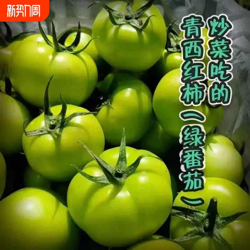 青番茄新鲜现摘未成熟青番茄炒菜青西红柿时令蔬菜现摘现发