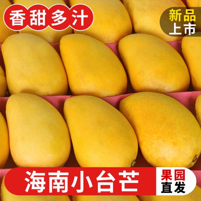 正宗海南小台芒果现摘新鲜当季一级大果薄皮大人孩子都爱吃好好吃