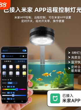 亿得胜智能水草筒灯爆藻灯