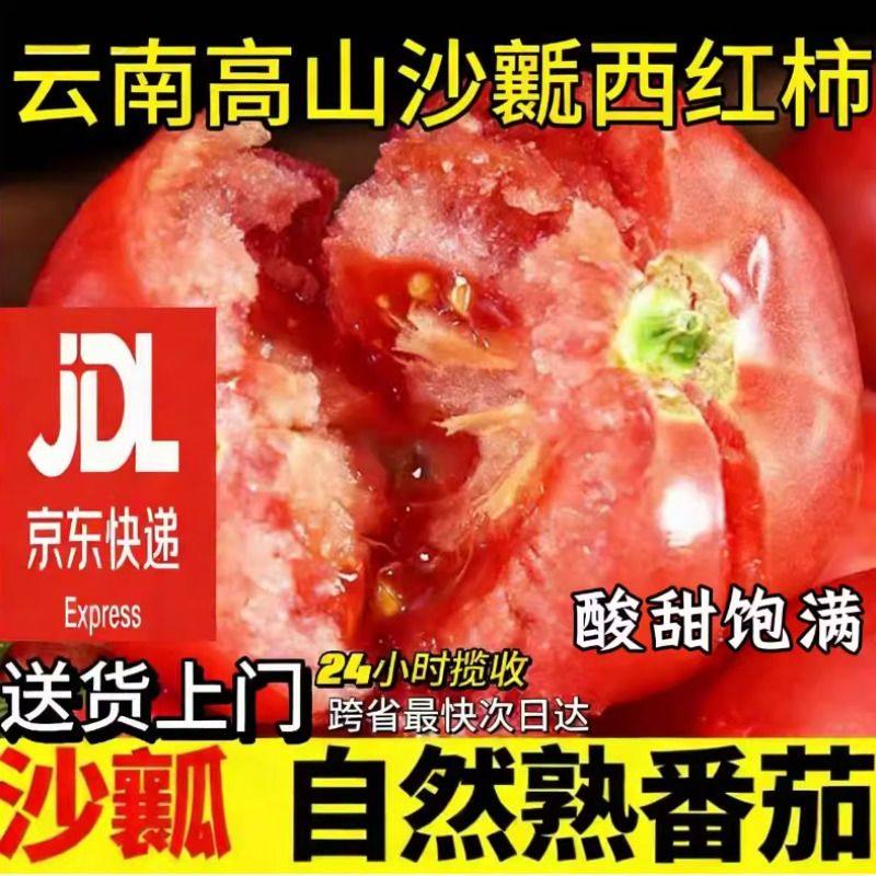 【京东送货上门】云南西红柿沙瓤自然熟生吃非普罗旺斯大番茄柿子,水产肉类/新鲜蔬果/熟食,番茄,淘宝优惠券,粉丝福利购,淘宝优惠卷