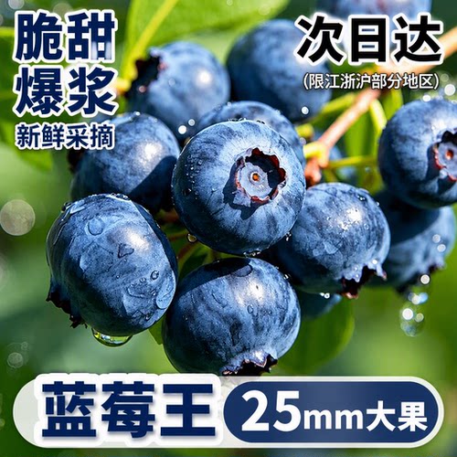 山东高山花香蓝莓现摘鲜果特大果怡应当季水果顺丰/JD包邮美味