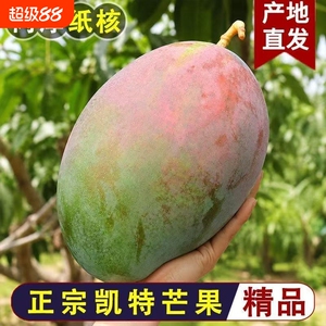 5斤四川攀枝花凯特芒，单果500g