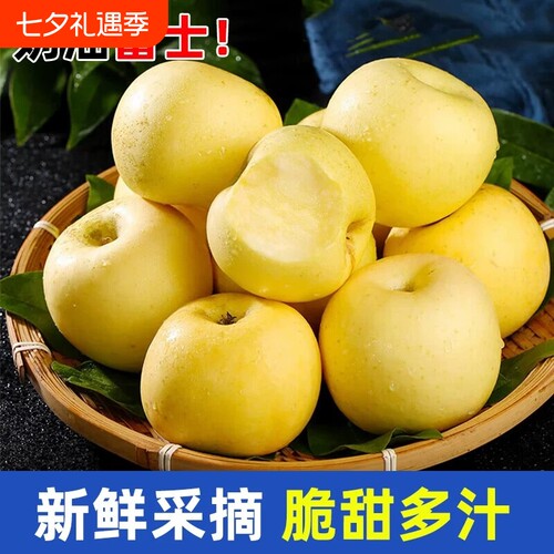 山东烟台黄金奶油富士苹果新鲜水果当季整箱现摘冰糖心包邮旗舰店