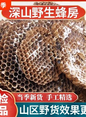 天然纯野生正品野蜂窝马蜂窝露蜂房黄蜂窝山蜂房老蜂巢中药材蜜蜂