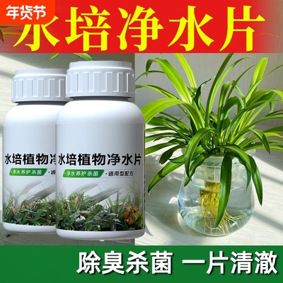 水培通用净水片消毒保鲜不臭水