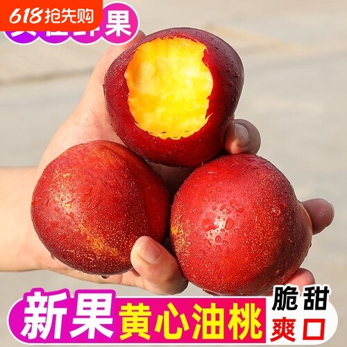 红珊瑚油桃现摘红油桃子新鲜水果脆甜应季黄肉油桃现货产自安徽