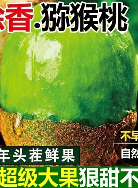 陕西周至徐香猕猴桃|千人加购