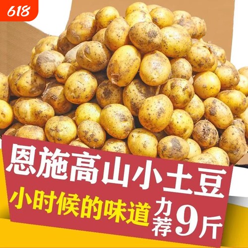 正宗恩施小土豆现挖精品黄心黄皮当季蔬菜特产洋芋迷你马铃薯