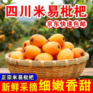 【京东快递】26年新上市正宗攀枝花米易枇杷特大果4.5斤特大果
