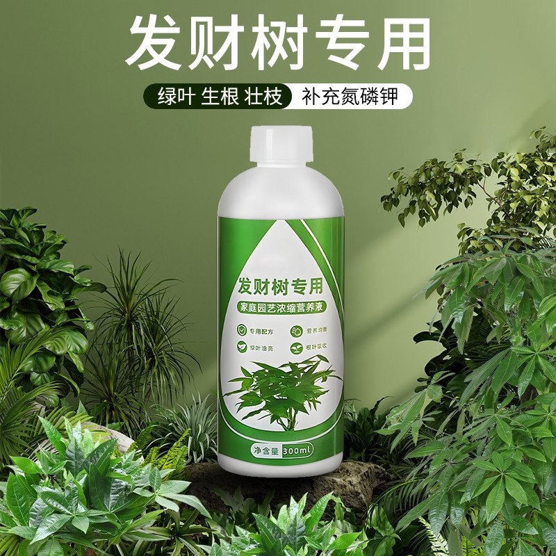 发财树营养液专用肥黄叶烂根急救水培绿植物家用盆栽通用养花肥料,鲜花速递/花卉仿真/绿植园艺,家庭园艺肥料,淘宝优惠券,粉丝福利购,淘宝优惠卷