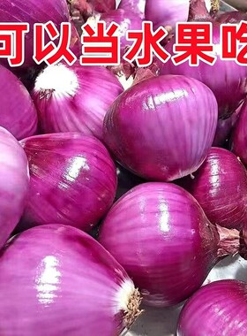 紫皮洋葱新鲜水果生吃