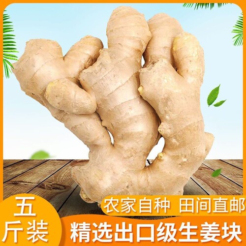 山东大姜优质生姜新鲜包邮