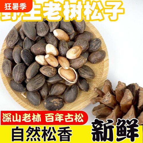 云南特产高山松子磕松原味黑松子大颗粒薄壳不开口坚果新鲜散装