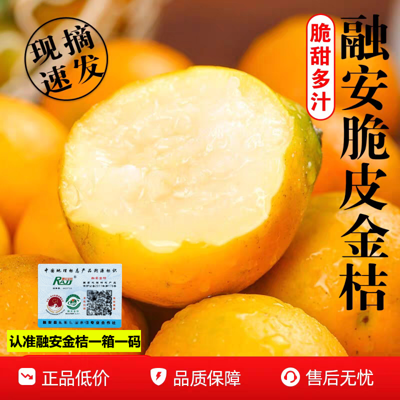 广西融安滑皮金桔一级融安金桔纯甜新鲜水果桔子
