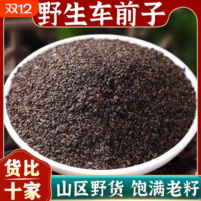 野生车前子中药材正品官方旗舰店野生洋车前子籽粉壳车前草泡茶水
