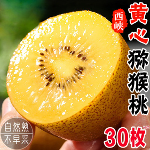 水果产地直发 特大果旗舰店黄金金果奇异果应季 黄心猕猴桃新鲜 包邮