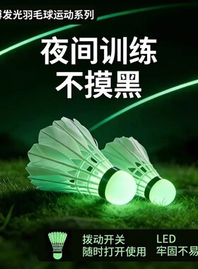 夜光羽毛球鹅毛防风带灯户外训练尼龙夜间荧光鸭毛会发光套装耐打