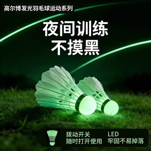 夜光羽毛球鹅毛防风带灯户外训练尼龙夜间荧光鸭毛会发光套装耐打