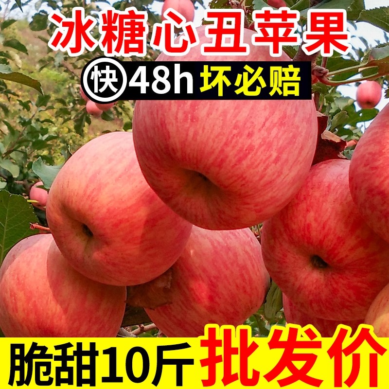 自家果园山西冰糖心苹果脆甜红富士丑苹果平果应季新鲜水果多汁,水产肉类/新鲜蔬果/熟食,苹果,淘宝优惠券,粉丝福利购,淘宝优惠卷
