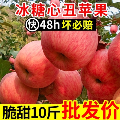 自家果园山西冰糖心苹果脆甜红富士丑苹果平果应季新鲜水果多汁