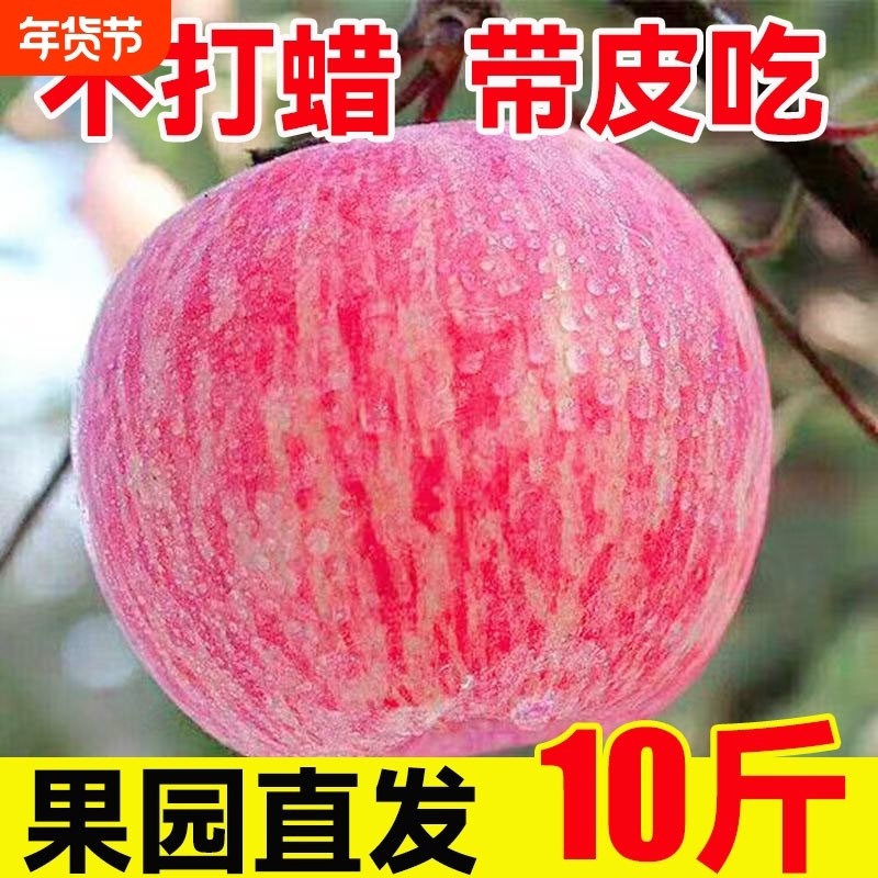 陕西红富士苹果水果新鲜冰糖心丑苹果脆甜整箱10包邮斤年货节果园,水产肉类/新鲜蔬果/熟食,苹果,淘宝优惠券,粉丝福利购,淘宝优惠卷
