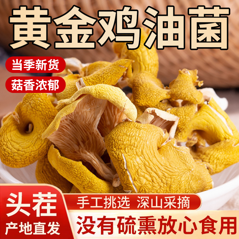 【炖鸡太鲜了】鸡油菌干货新鲜特级黄金菇2025年新货特产菌汤包