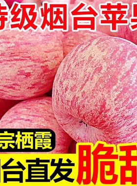 山东烟台苹果栖霞红富士新鲜水果整箱包邮当季一级冰糖心脆甜正宗