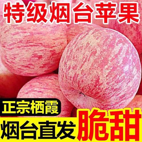 山东烟台苹果栖霞红富士新鲜水果整箱包邮当季一级冰糖心脆甜正宗