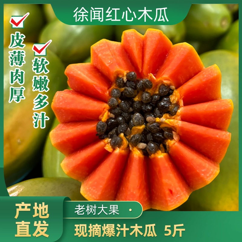 徐闻雷州冰糖木瓜现摘树上熟应当季新鲜青皮红心牛奶水果