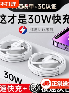 【原配30W快充】快充数据线适用苹果14iPhone13/12proMax11充电线器手机XS/XR/8p加长iPad平板6s2米7plus