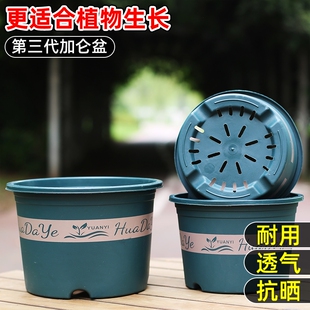 圆形高款树脂塑料花盆透气控根多孔耐用三代加仑盆带托盘阳台