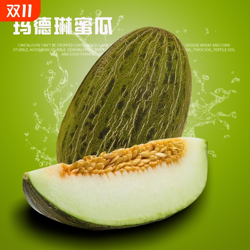 玛德琳蜜瓜甘肃大漠斗牛蜜瓜软糯甜瓜戈壁冰淇淋蜜瓜水果顺丰包邮