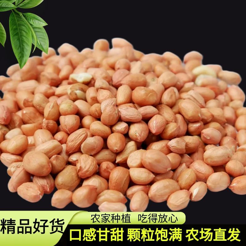 河南南阳白沙生花生仁批发 花生米晒干自然原味耐煮耐放