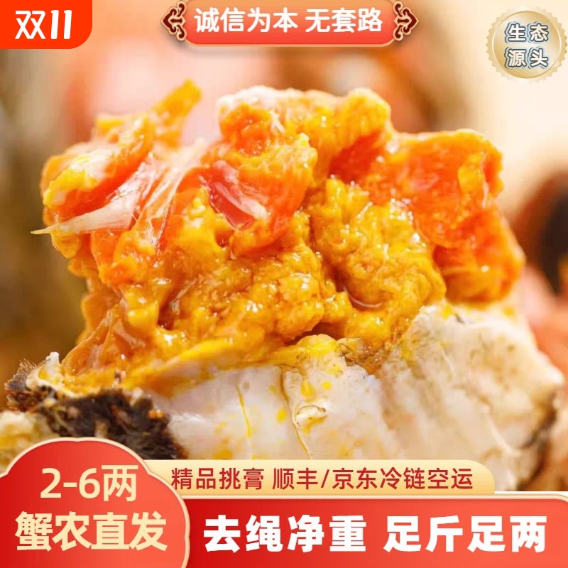 蟹农直发精品挑膏蟹8-10只大闸蟹