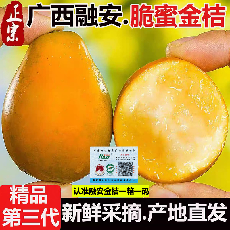 顺丰脆蜜金柑第三代广西融安脆蜜金桔新鲜当季水果整箱礼盒装