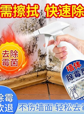 除霉剂去霉斑霉菌墙体清洁剂