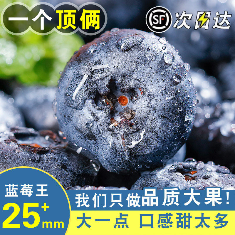 云南蓝莓新鲜水果鲜果当季蓝梅现摘高山怡颗孕妇大果整箱顺丰包邮,水产肉类/新鲜蔬果/熟食,蓝莓,淘宝优惠券,粉丝福利购,淘宝优惠卷