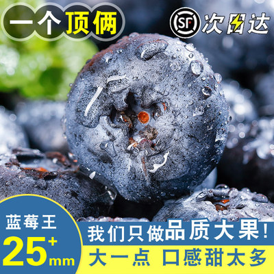 云南蓝莓新鲜水果鲜果当季蓝梅现摘高山怡颗孕妇大果整箱顺丰包邮