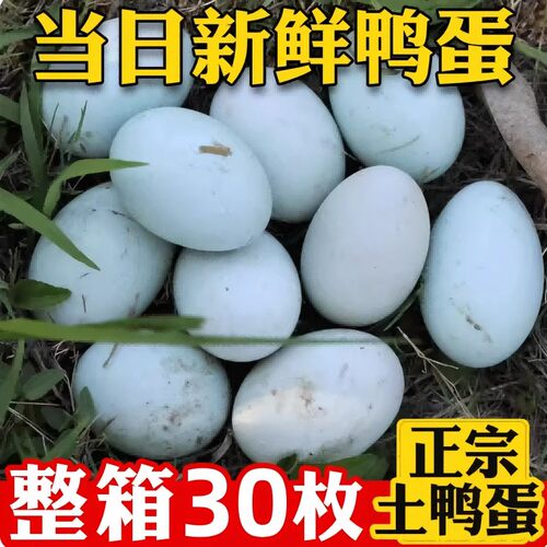 正宗农家土鸭蛋农家散养生鸭蛋新鲜鸭蛋农家鸭蛋30枚整箱批发