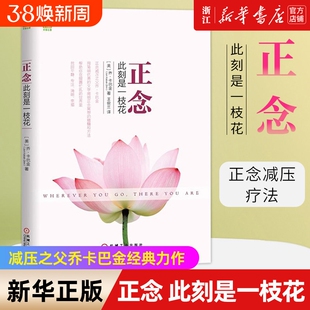 正念此刻是一枝花乔卡巴金作品集多舛的生命之道觉醒地活疗愈的力量人生哲学书自我调节修养书疗法认知改变正版当下沟通冥想积极