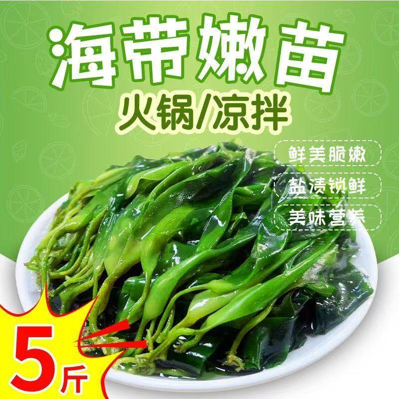 海带苗嫩苗特级新鲜1斤装凉拌菜火锅食材商用裙带菜即食美味当季图片