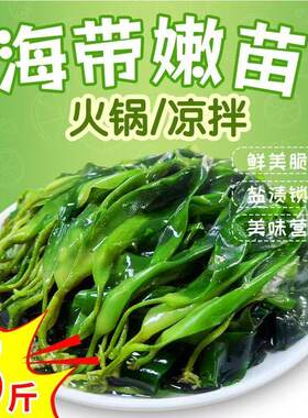 海带苗嫩苗特级新鲜1斤装凉拌菜三秒火锅食材商用裙带菜即食美味